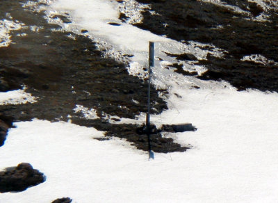 GlacierPkSeismicSta052903-15adjcrop.JPG