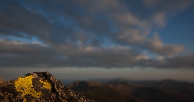 Lichen, Tiffany Mountain Summit <br> (Tiffany_081412-89-1.jpg)