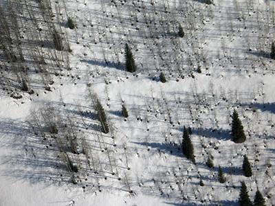 Aspen Grove, Rock Creek<br>  (Pasayten) (SmokyMt042806-16adj.jpg)