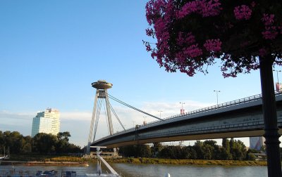 Bridge and the tower