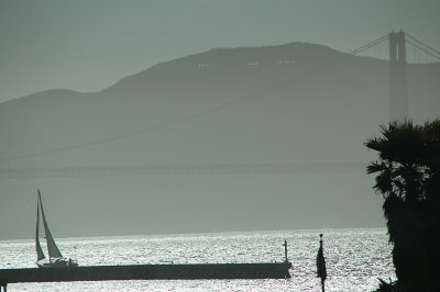 Golden Gate Bridge in black and white