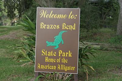 Brazos Bend State Park Texas