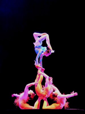 That evening, we were taken to an acrobatic show.  The colors and bending were fabulous.