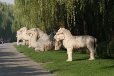 In the afternoon, we visited the Ming Tomb Walkway, lined with beasts and soldiers.