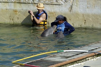 Cozumel had a dolphin swim right at the port.  Im not a PETA person, but Im not sure I liked this operation.