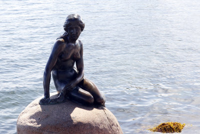 After ship checkin, I went back out while Howard conserved his feet.  Here's the Little Mermaid.