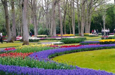 Netherlands - Keukenhof Gardens