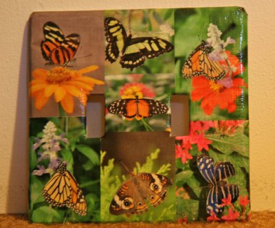 Designed a switchplate for Marina, who loves butterflies, using photos I took at Brookside Gardens
