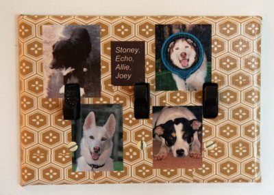 Made Howard a switchplate with the 4 dogs who've lived in this house