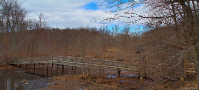 Bridge At Teatown Lake Reservation