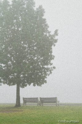 Park Bench In The Fog