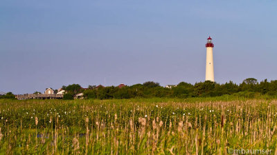 Cape May Lighthouse  - 3