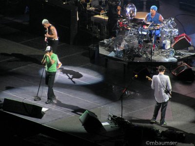 Red Hot Chili Peppers (8)