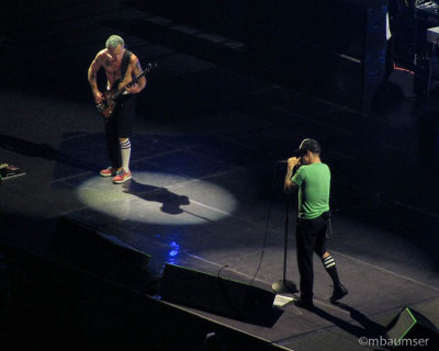 Red Hot Chili Peppers (10)