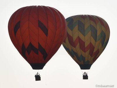 2012 Balloon Festival #117