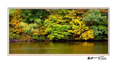 g4/20/485820/3/51466404.PICT9382.jpg