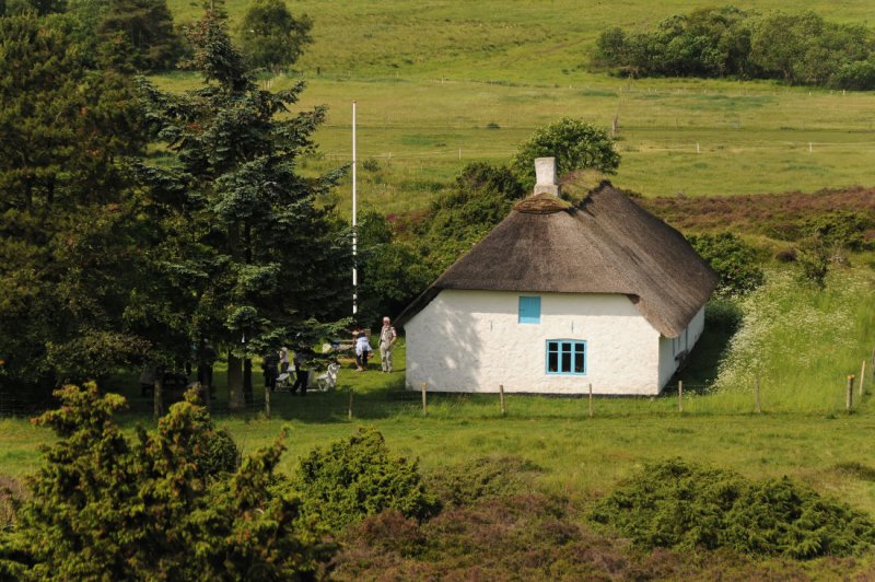 Thatched roof house in Ribild