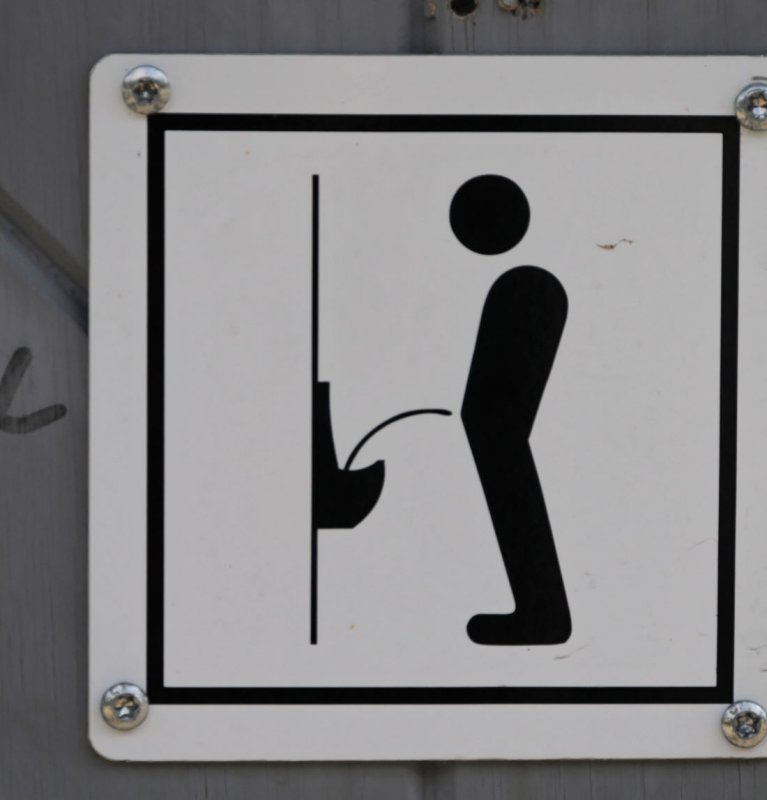Instructions for the Pissor