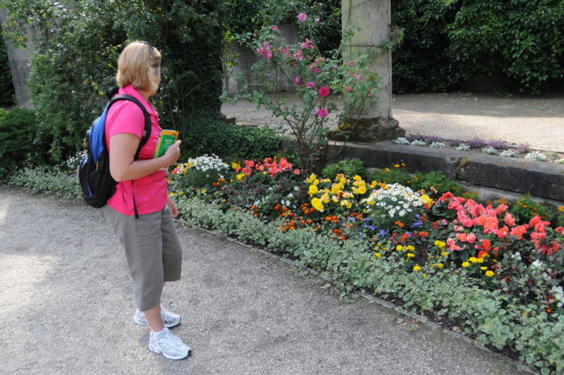 Flowers in the Teirgarten