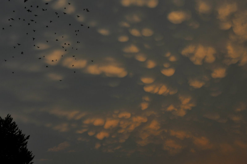 Unique sky near sunset