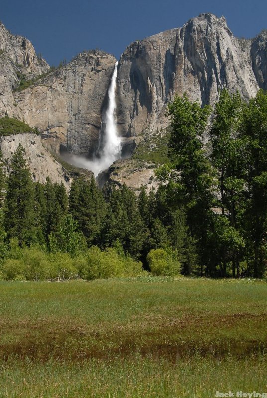 Yosemite Falls and the Meadow 2
