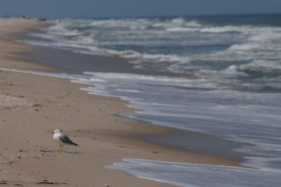 Playalinda Beach