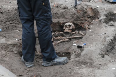 Skeleton revealed in an excavation