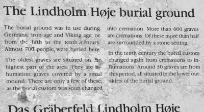 Lindholm Viking Burial Grounds (just North of Aalborg)