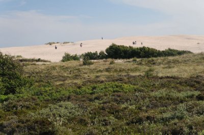 Rabjerg Mile sand dune