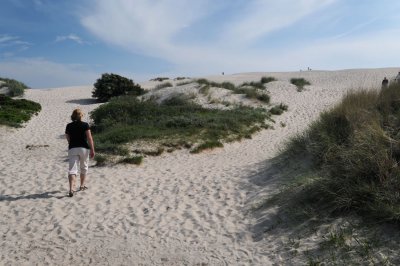 Sand dune moving across Northern Denmark