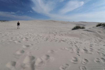 Rabjerg Mile sand dune