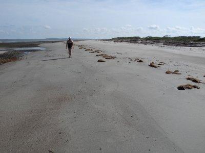 Desolate Otter Island