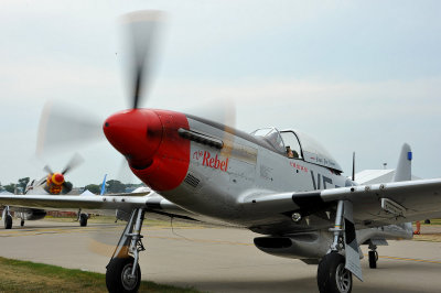 Up Close to the Roar of P-51s
