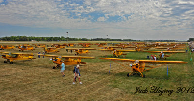 Some of the over 150 Cubs in attendence for their 75th anniversary