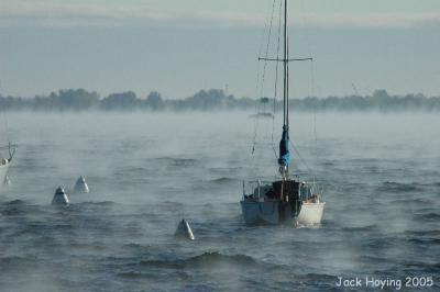 g4/20/491620/3/52418733.DSC_8384.jpg