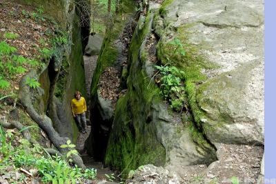 Fat Lady's Squeez trail at Cantwell Cliffs