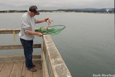 Baiting a crab trap, Crescent City, CA
