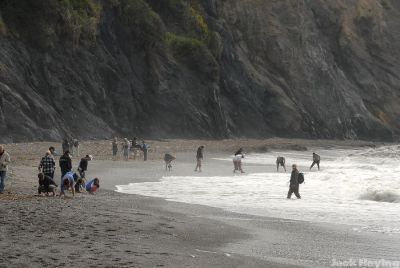 Agate hunters on Agate Beach, Patrick's Point State Park