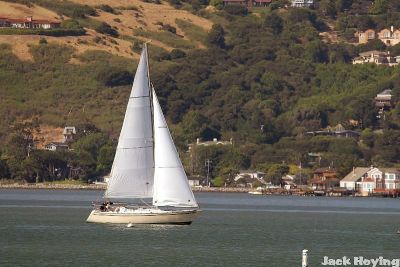 Sailboat on San Francisco Bay, in front of Tiburon, CA