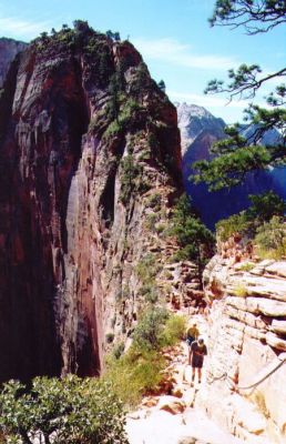 The Angels Landing trail leads up that narrow edge