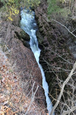 Narrow falls in Clifton Gorge