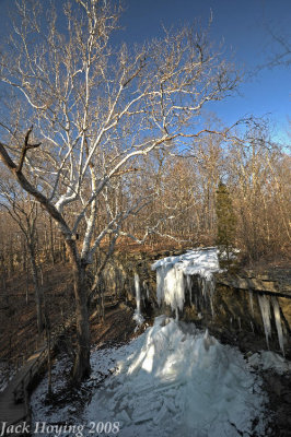 View from above with a Sycamore Tree