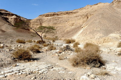 Nahal Peres, Judean desert