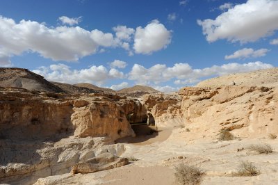 Nahal Hatira, Negev desert