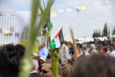Palestinian flag on palm leaf