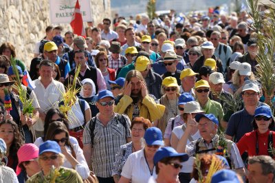 Slovenian, German, and Swiss pilgrims at Palm Sunday procession