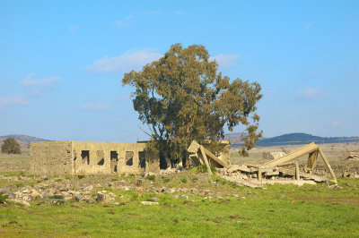 Remains of Syrian settlement