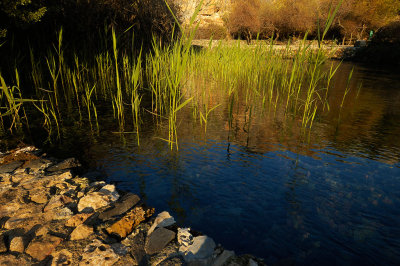 One of the Jordan springs