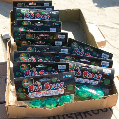 P1010603-356.jpg