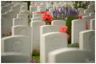 Ypres and Tyne Cot_D3B8057.jpg